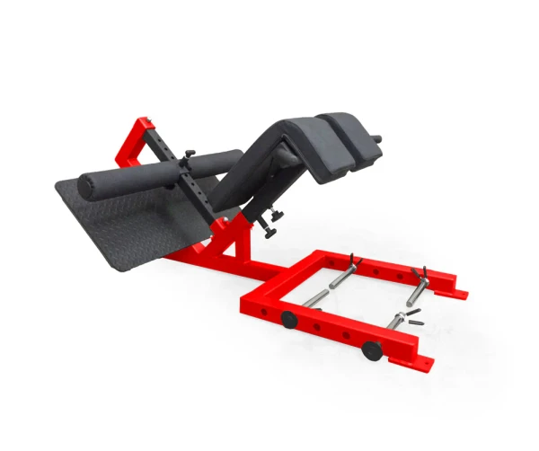 Professional 45 Degree Back Raise