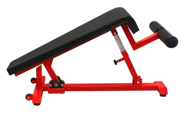 Collegiate Decline Dumbbell Bench