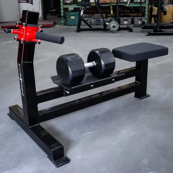 [WS] Signature Dumbbell Rowing Station