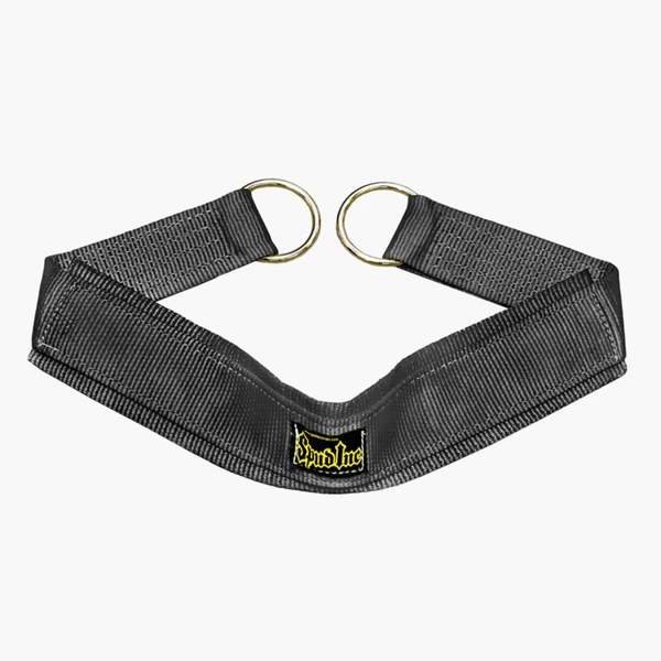 Regular Reverse Hyper Strap