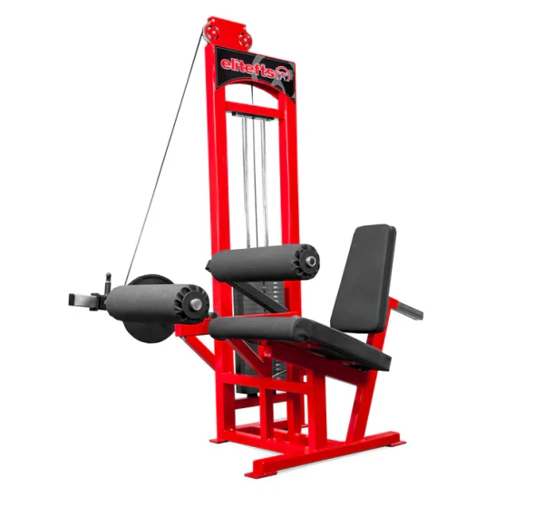 Seated Leg Curl - Selectorized