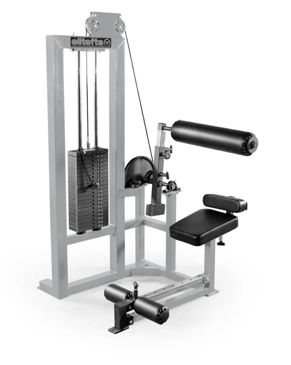 Low Back Machine - Selectorized