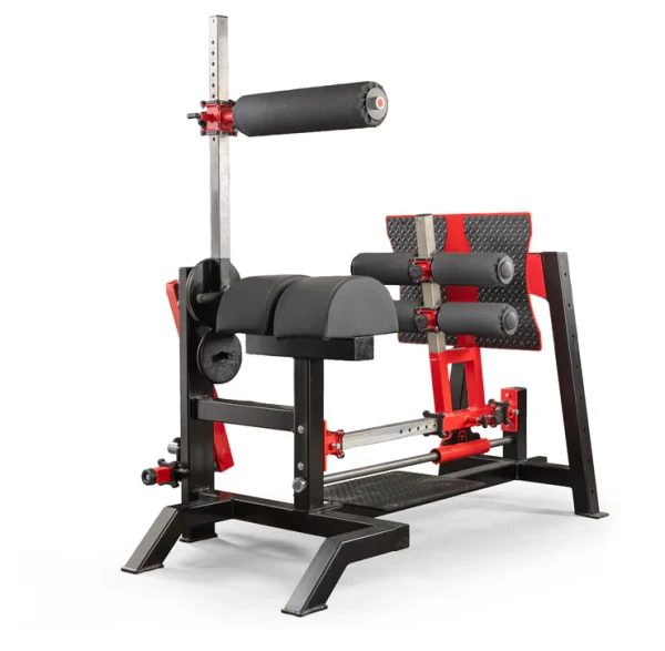 Signature Multi-Function Posterior Chain Bench