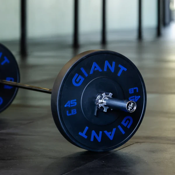 Giant Contrast Bumper Plates