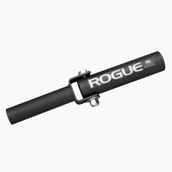 Rogue Post Landmine