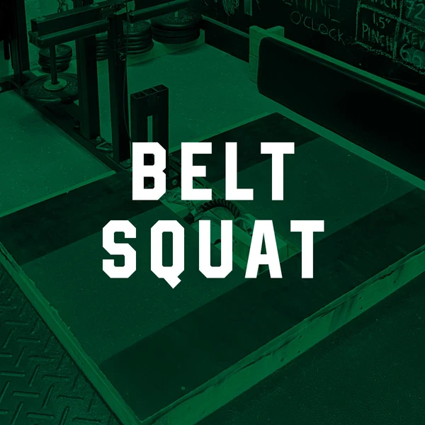 Belt Squat - Custom/DIY