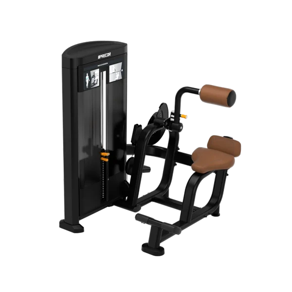 Precor Back Extension Selectorized