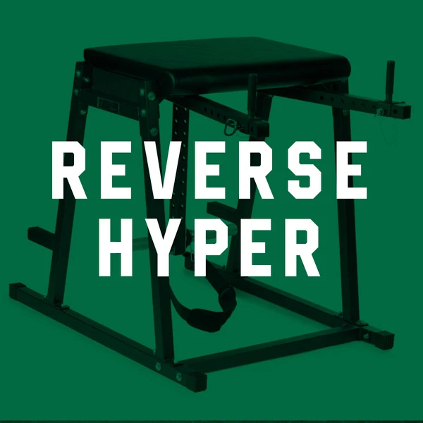 Reverse Hyper - Custom/DIY