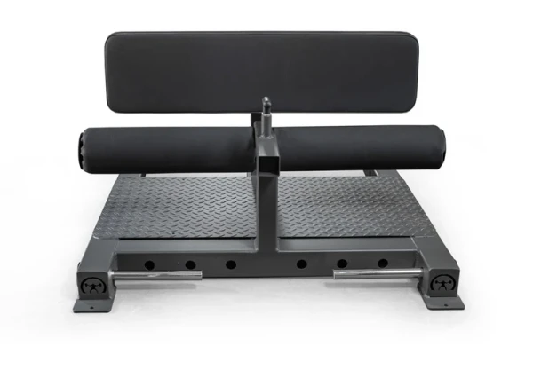 Elite FTS Multi Squat Hip Extension