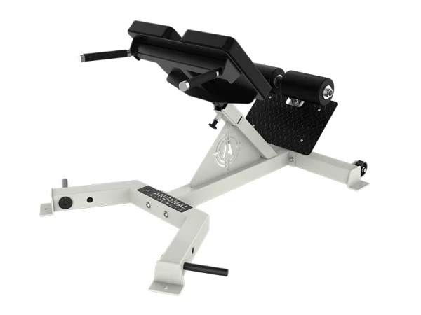 Arsenal Strength 45 Degree Back Extension