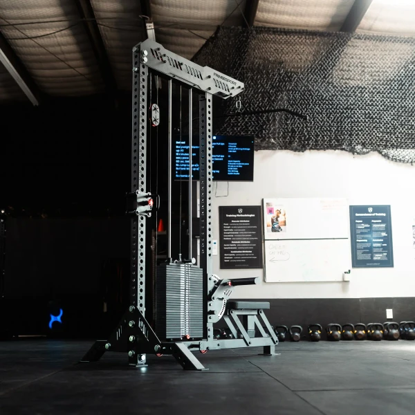 The Walrus: Single Tower Low Row & Lat Pulldown