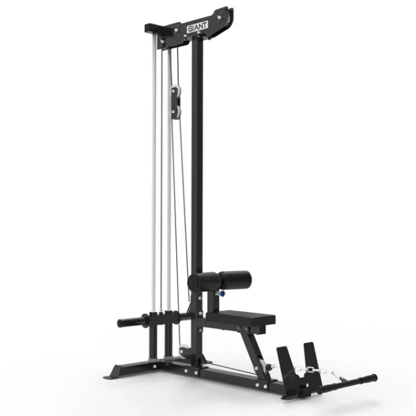 Giant Standalone Lat & Low Row