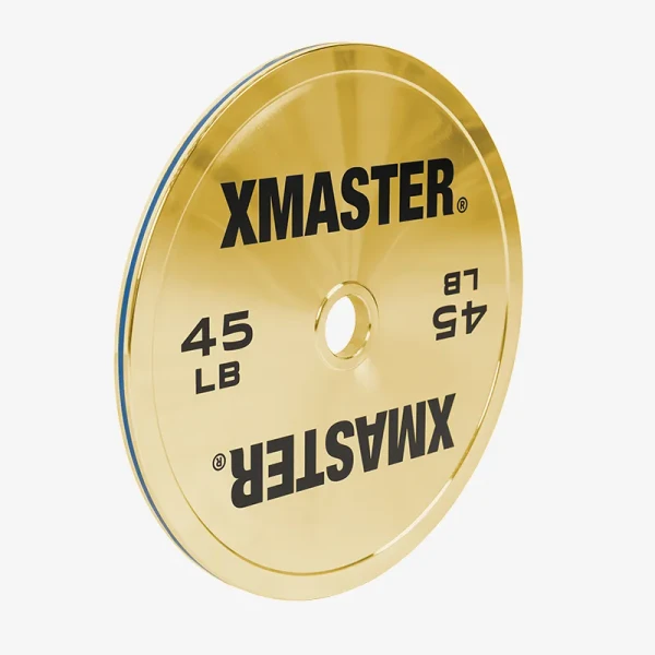 Gold Chrome Steel Plates (LB)