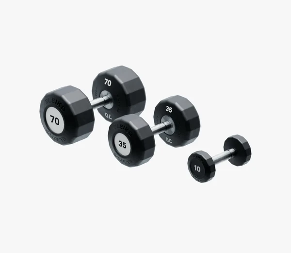 Eleiko Evo Dumbbell