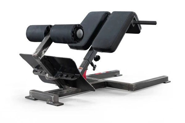 G3 45 Degree Back Raise