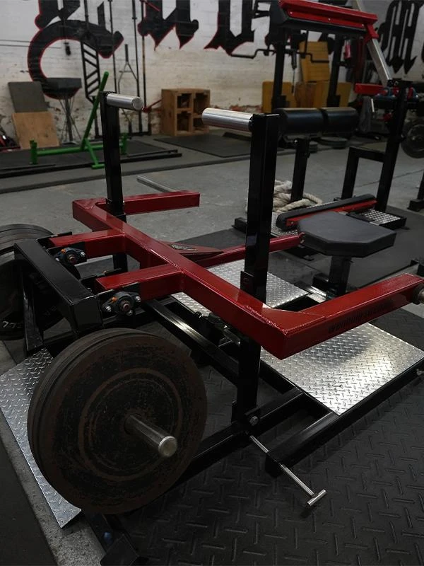 Wenning Strength Belt Squat