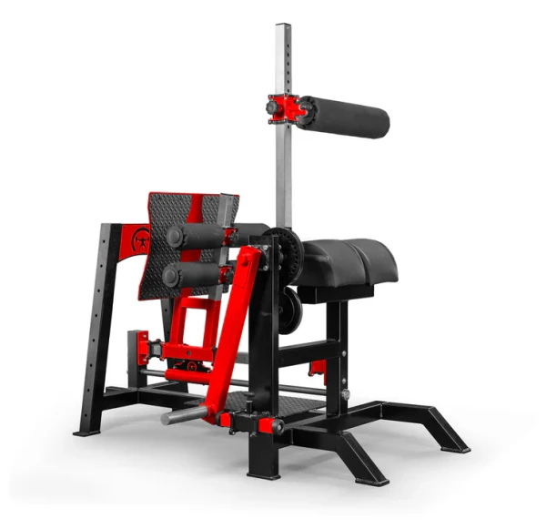 Multi-Function Posterior Chain Bench