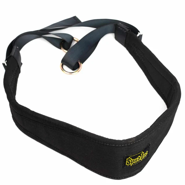 Kaiju Adjustable Padded Belt Squat Belt