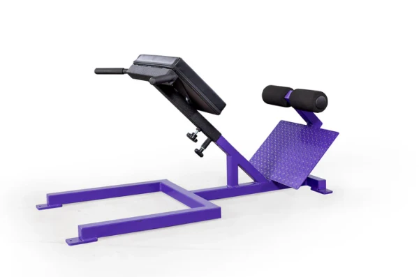 Scholastic 45 Degree Back Raise