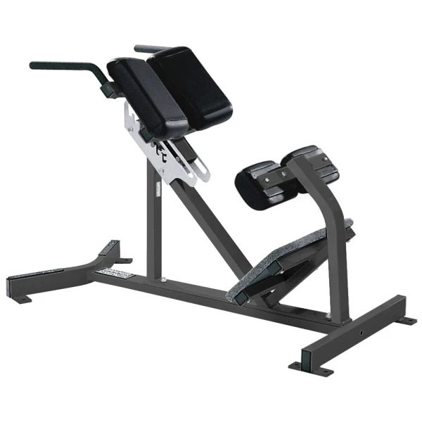 Hammer Strength Back Extension