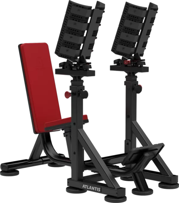 Straight Dumbbell Bench With Pivots